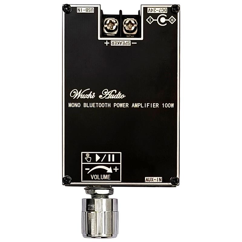 블루투스 5.1 TPA3116 D2 모노 100W Bt - Home Cinema Heos 리뷰 및 가격